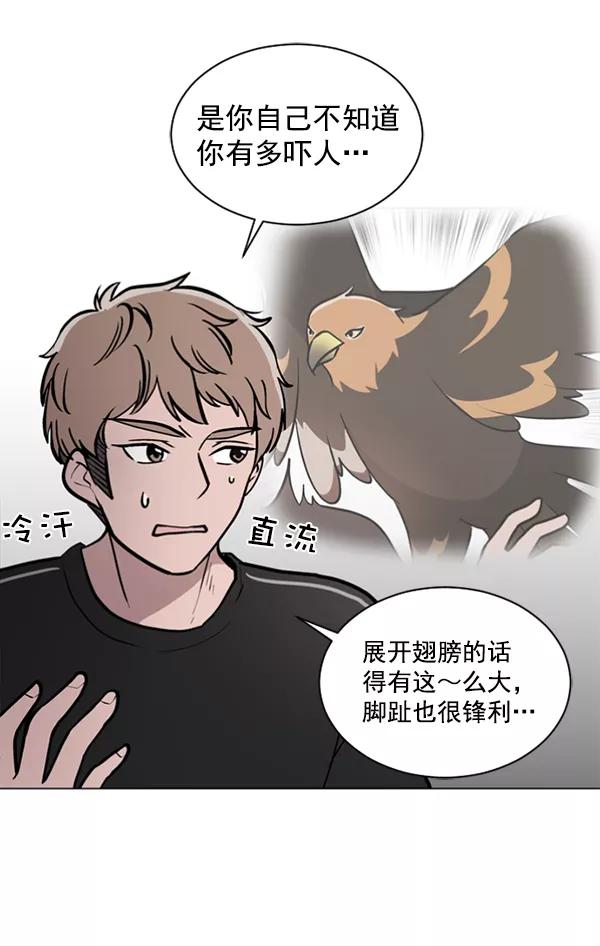 《小麻雀求婚记》第46话 第18页