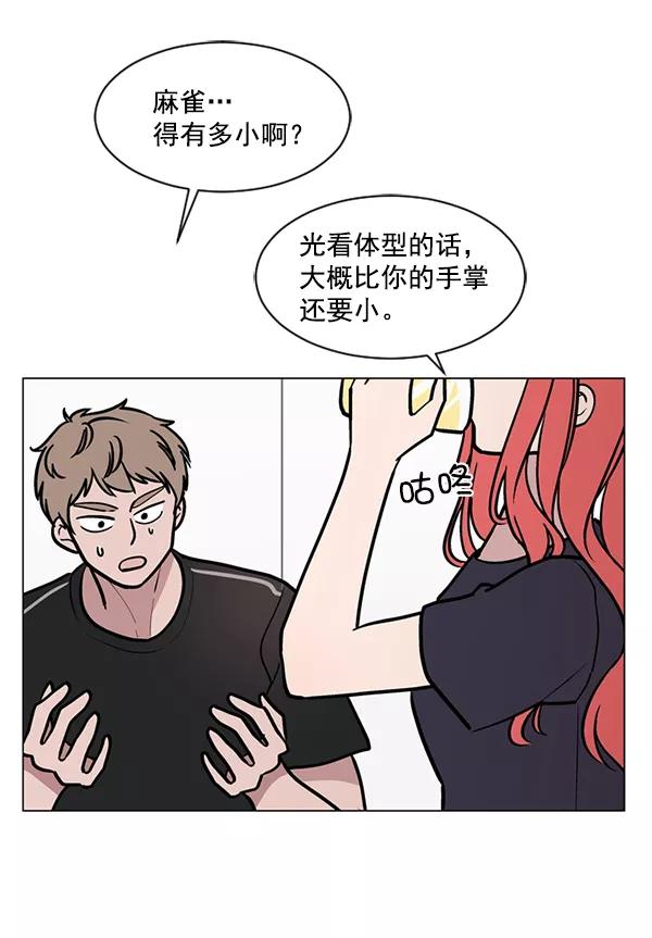 《小麻雀求婚记》第46话 第27页