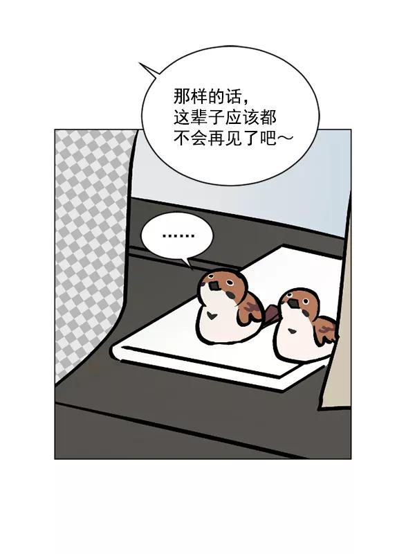 《小麻雀求婚记》第46话 第47页