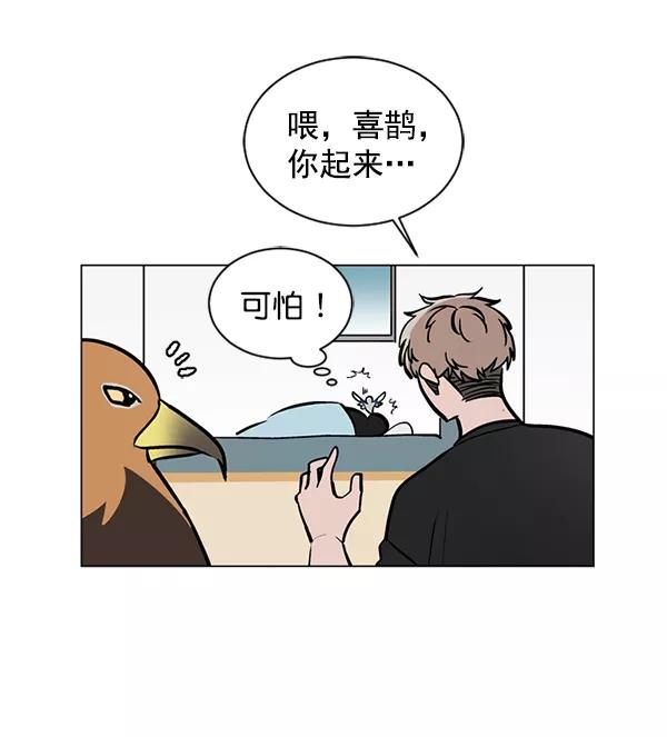 《小麻雀求婚记》第46话 第9页