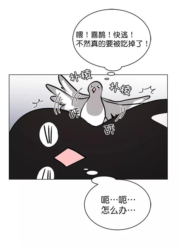 《小麻雀求婚记》第46话 第8页