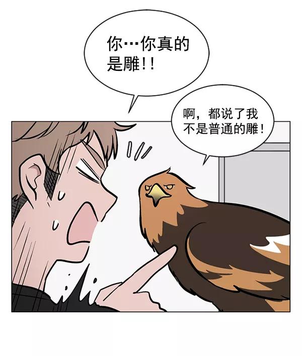 《小麻雀求婚记》第46话 第3页