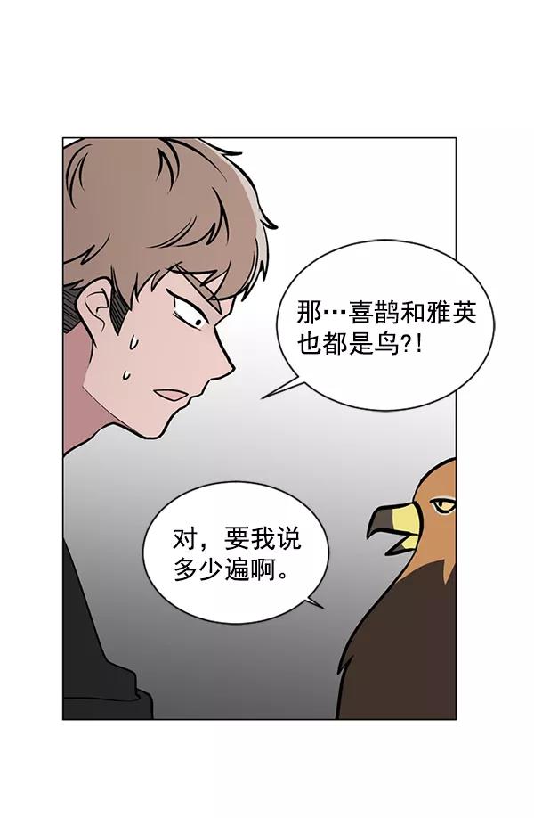 《小麻雀求婚记》第46话 第5页