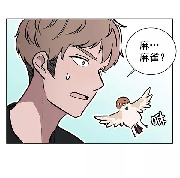 《小麻雀求婚记》第46话 第26页