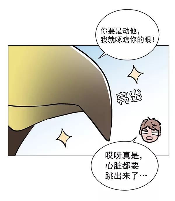 《小麻雀求婚记》第46话 第11页