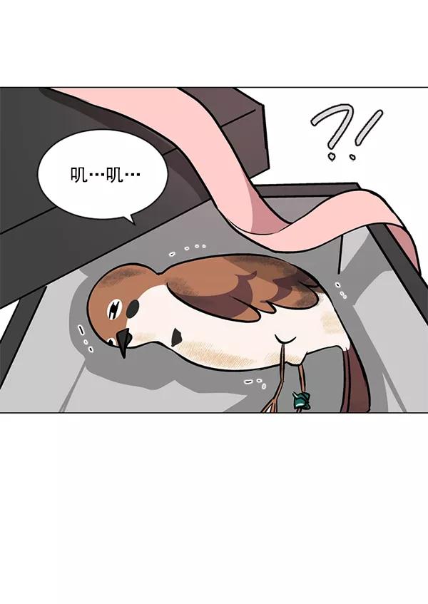 《小麻雀求婚记》第47话 第35页