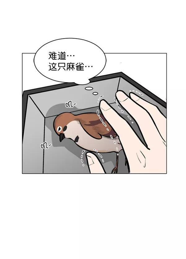 《小麻雀求婚记》第47话 第38页
