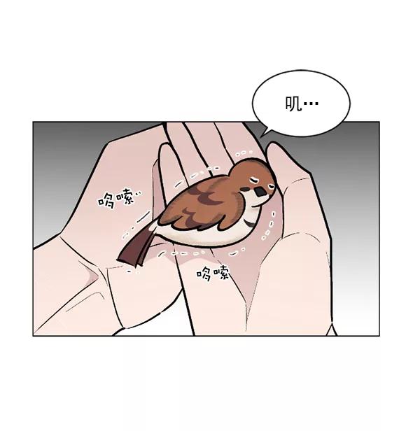 《小麻雀求婚记》第47话 第45页