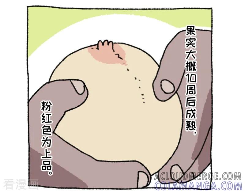 《不切传说》第36话 关于不切 第19页