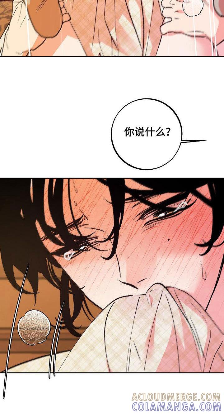 《独占预谋》第26章：美好一刻 第9页