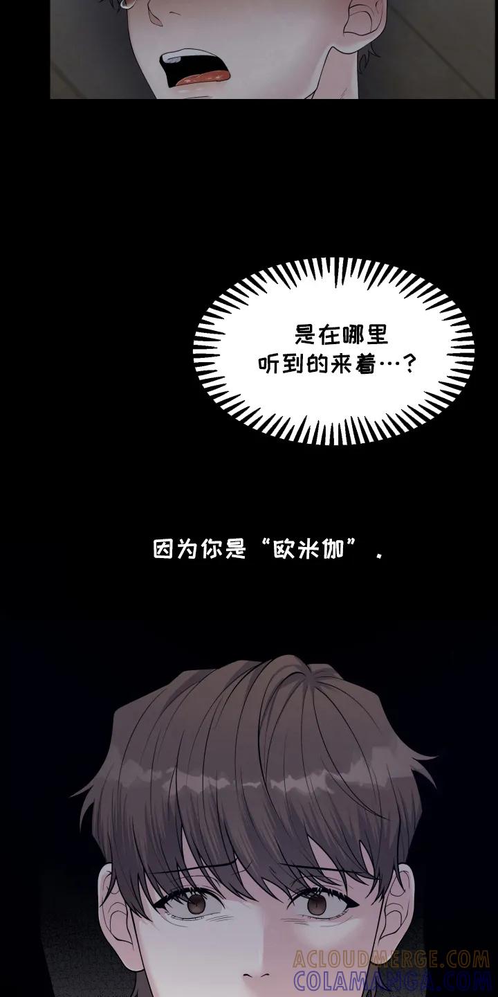 《记忆的慢反射》第5章：不会放手 第15页