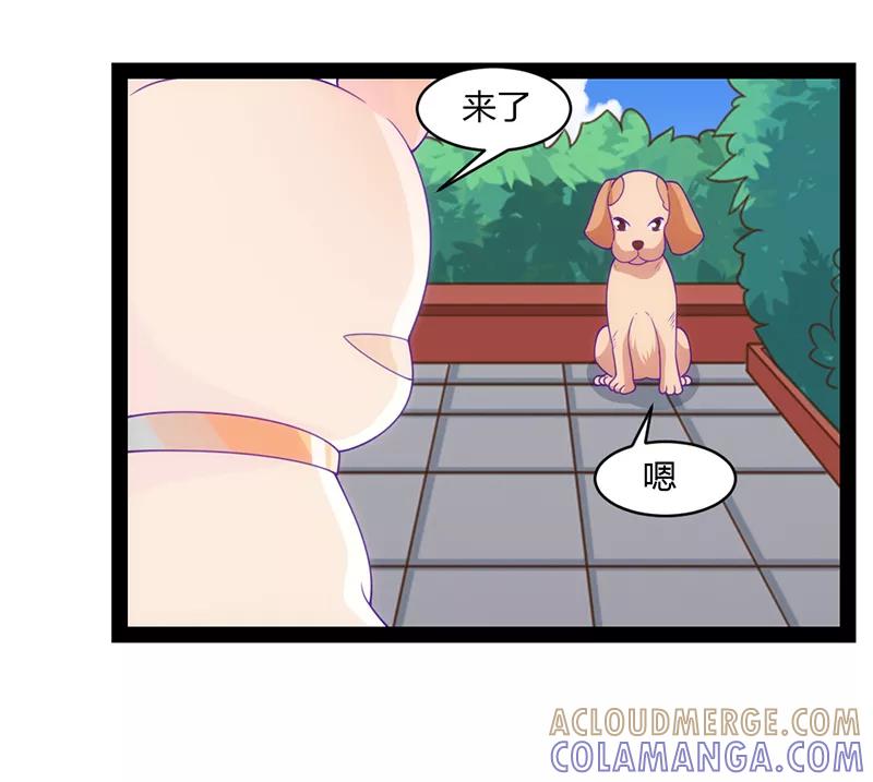 《狗粮好吃》第48话 第7页