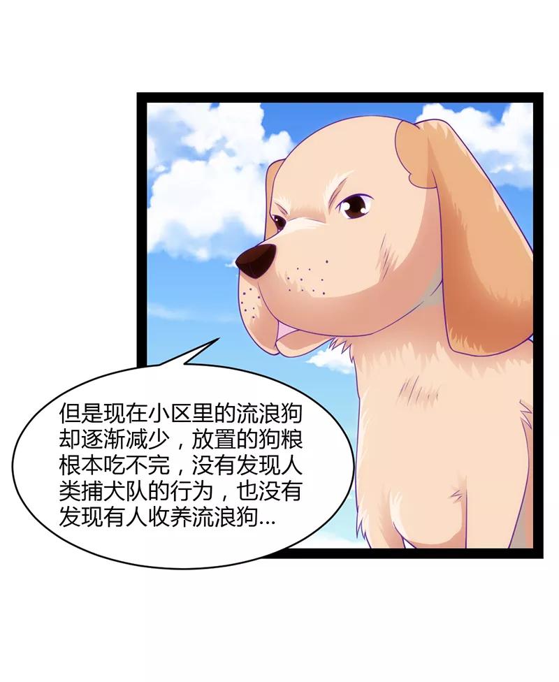 《狗粮好吃》第48话 第12页