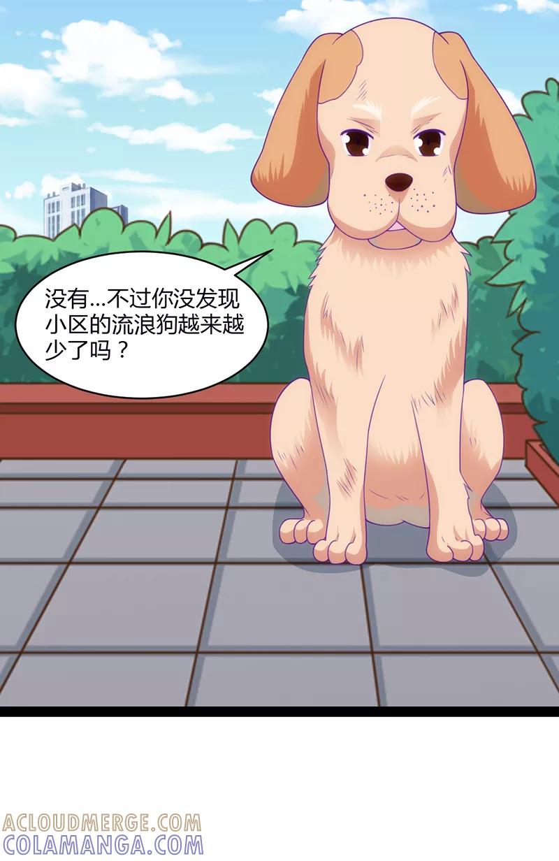 《狗粮好吃》第48话 第9页