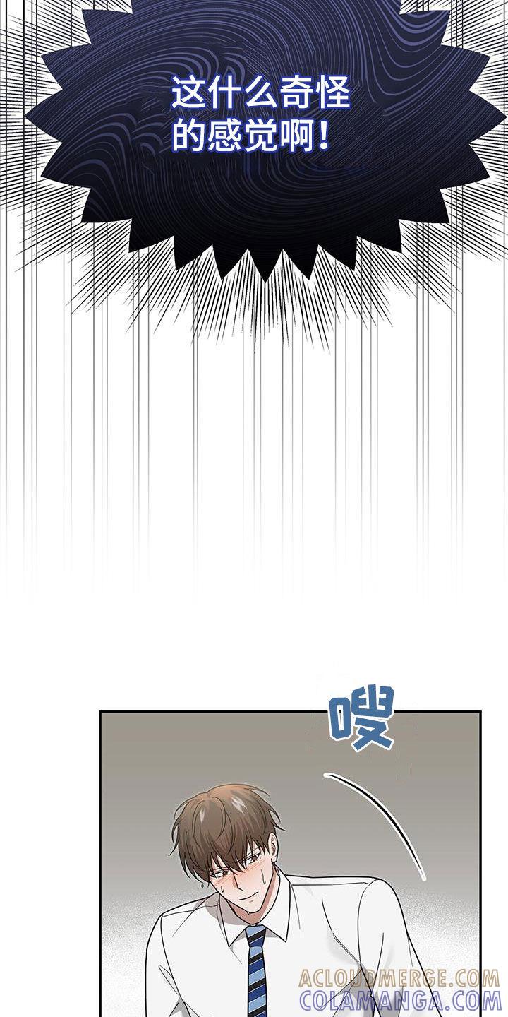 《秘书生存指南》第18章：唯一的欧米伽 第35页