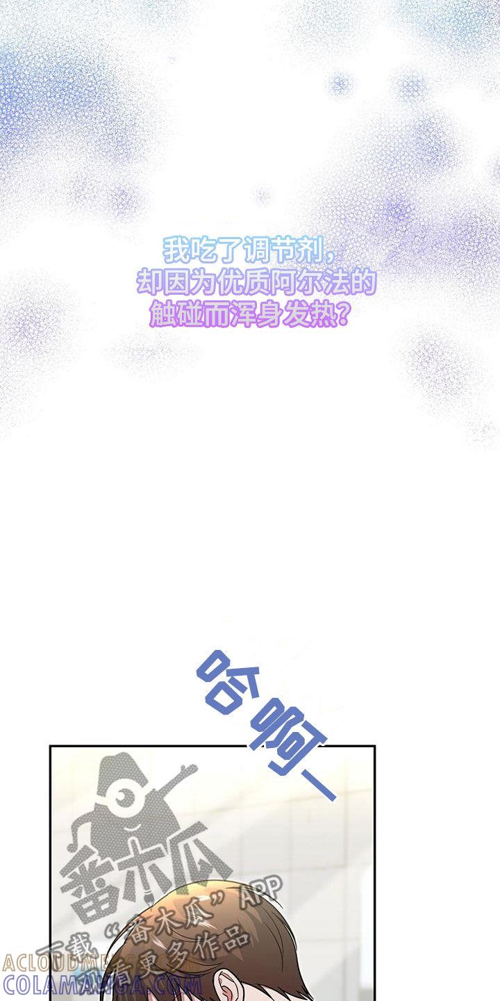 《秘书生存指南》第19章：彻底完蛋 第11页