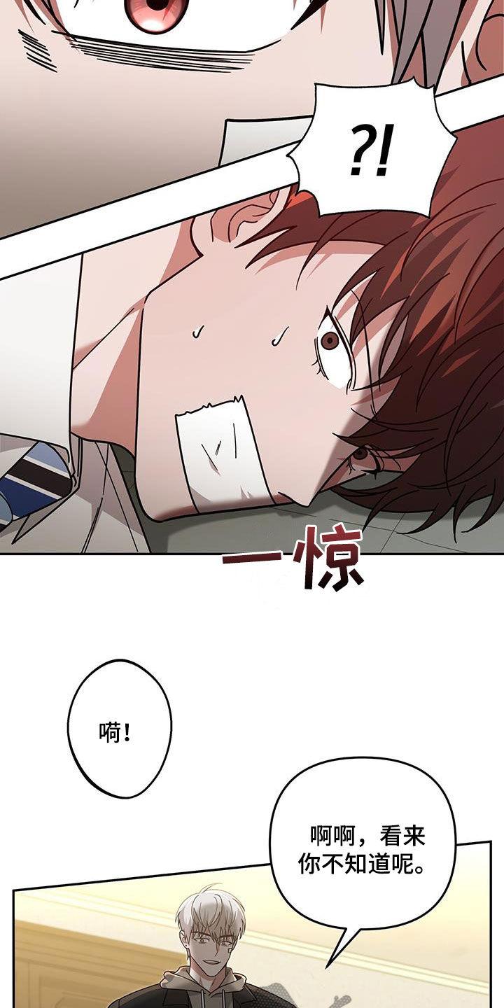 《秘书生存指南》第25章：赌赢了 第22页
