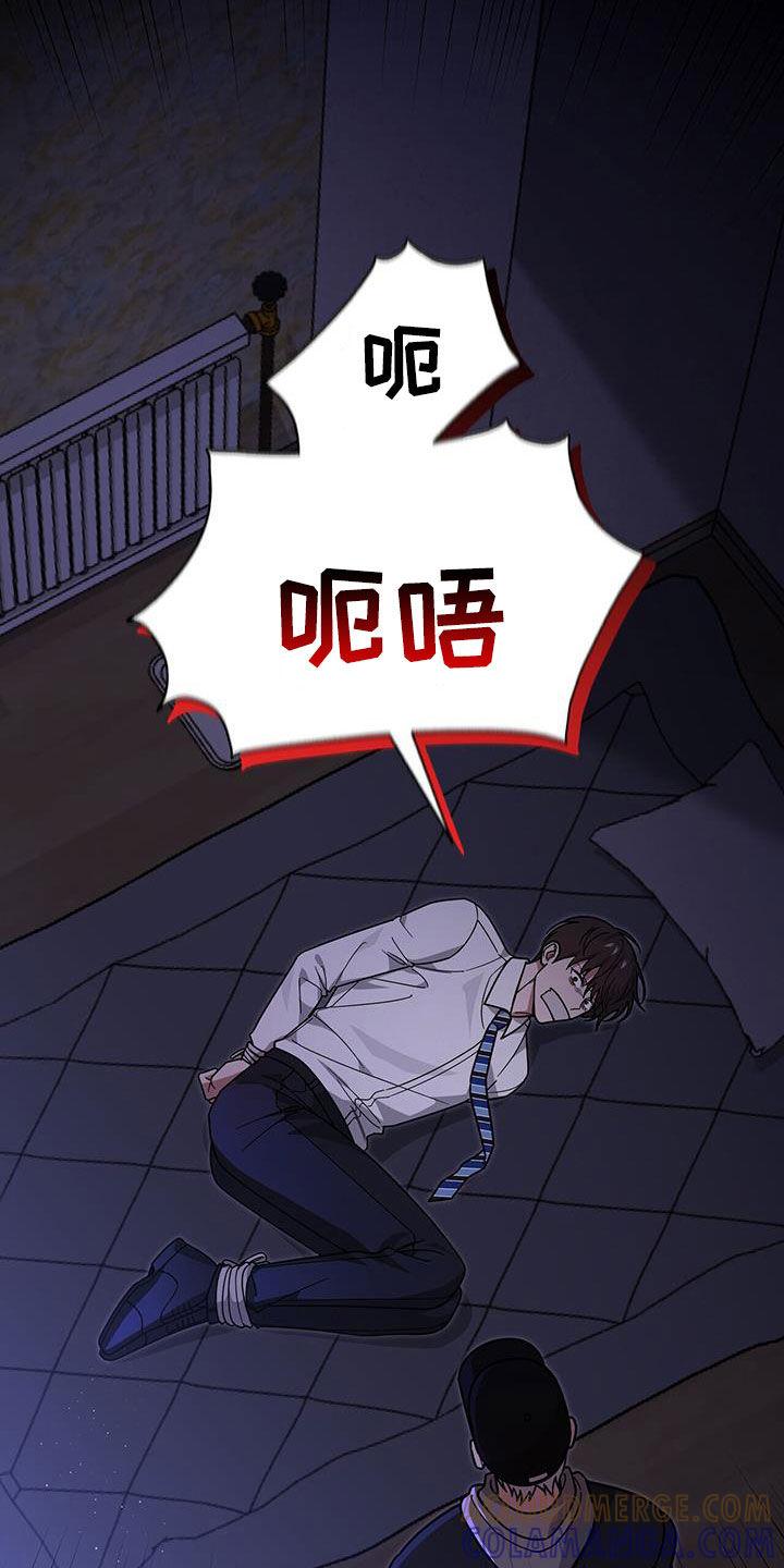 《秘书生存指南》第25章：赌赢了 第11页