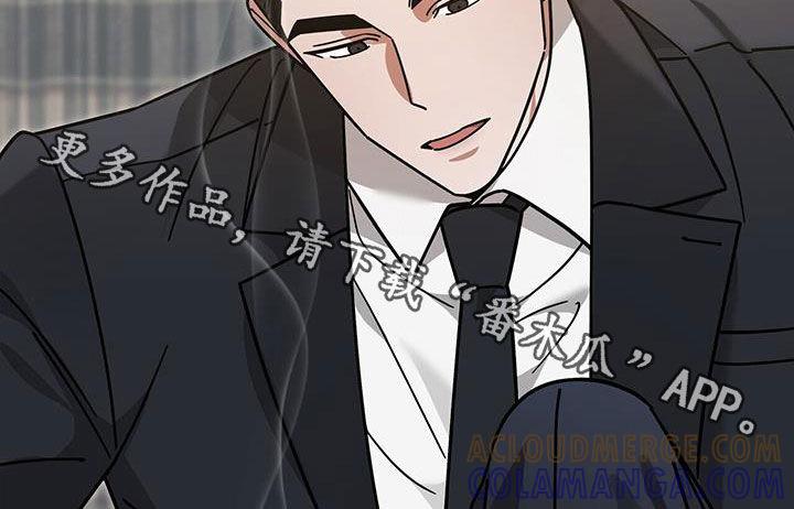 《秘书生存指南》第25章：赌赢了 第37页