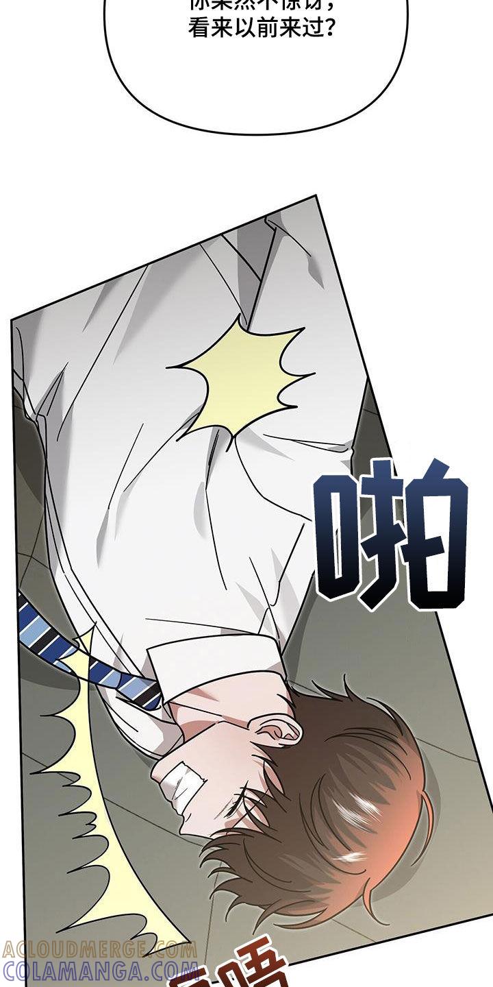 《秘书生存指南》第25章：赌赢了 第17页