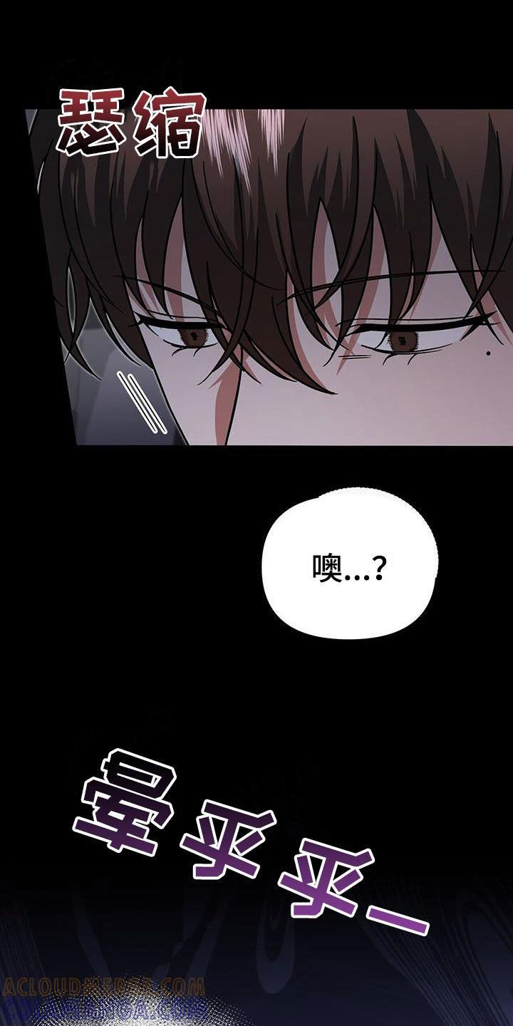 《秘书生存指南》第27章：新纪录 第5页