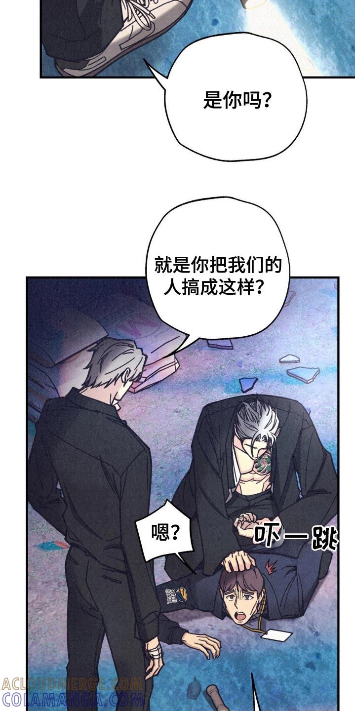 《绝密追缉》第28章：不是我 第17页