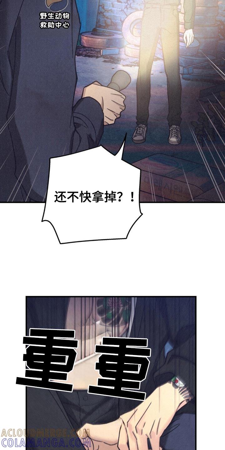 《绝密追缉》第28章：不是我 第15页