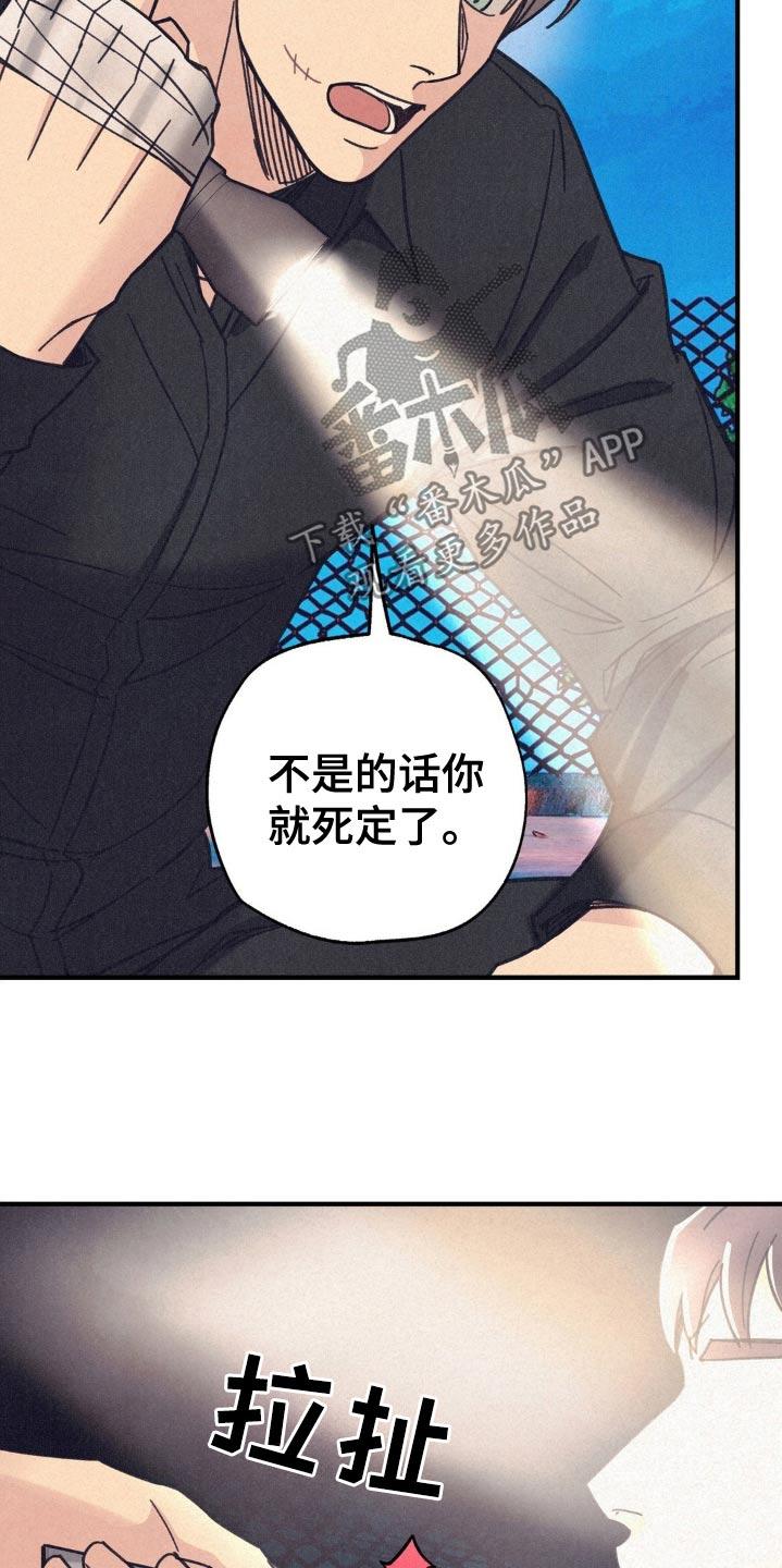 《绝密追缉》第28章：不是我 第22页