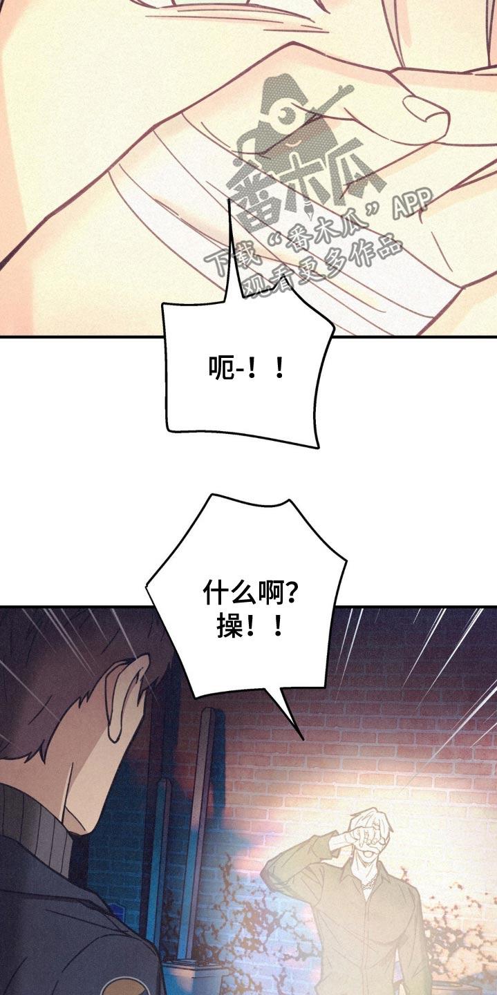 《绝密追缉》第28章：不是我 第14页