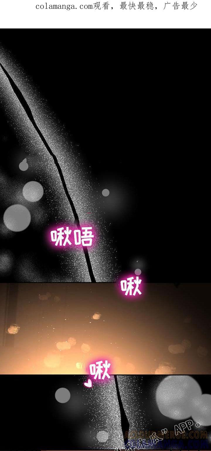 《秘书生存指南》第28章：好奇 第1页