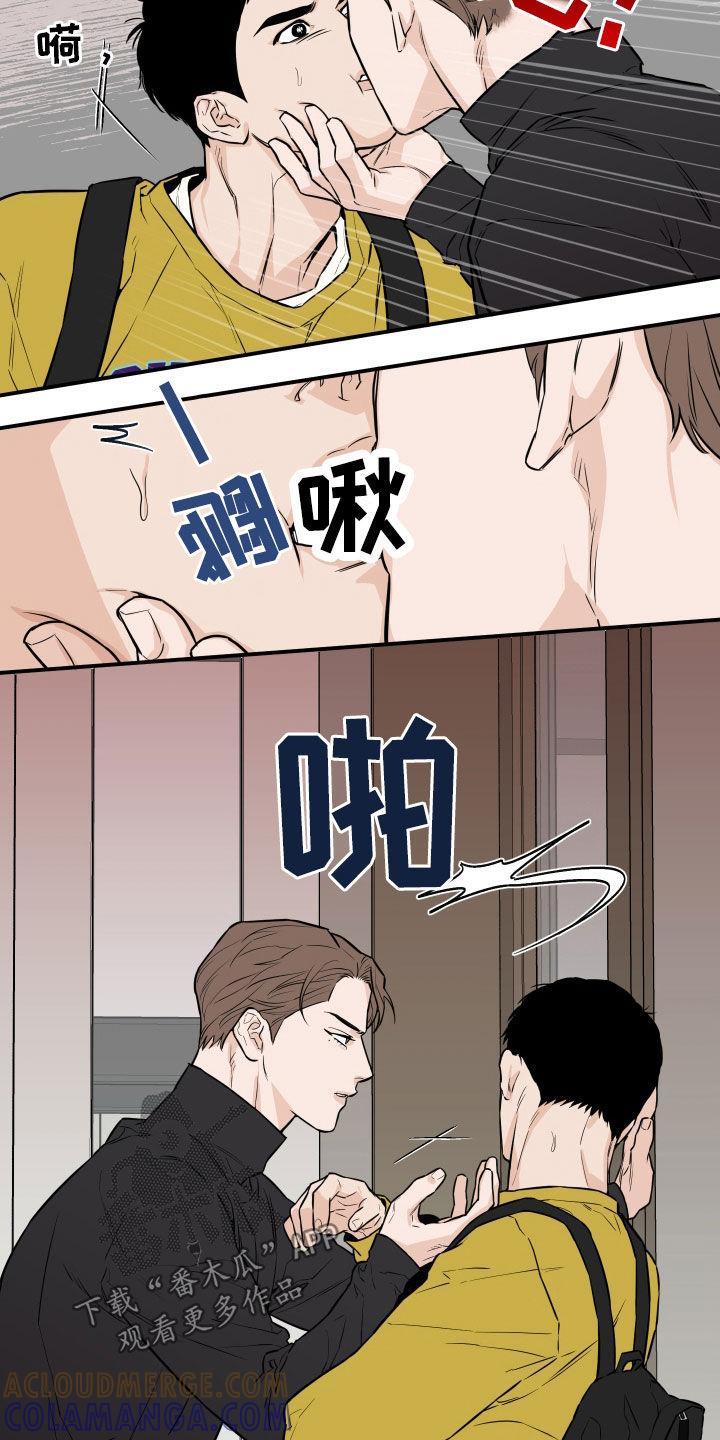 《记者本能》第28章：随叫随到 第11页