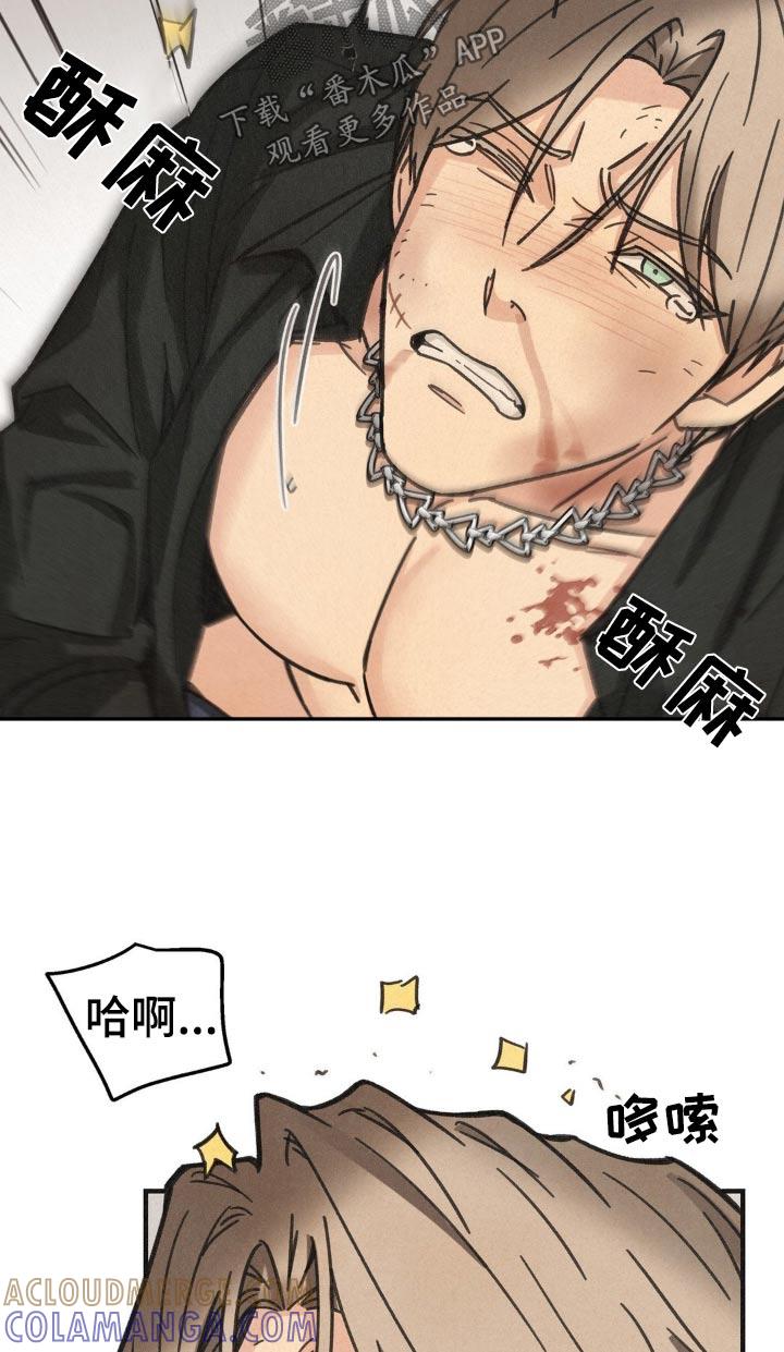 《绝密追缉》第33章：失礼了 第15页