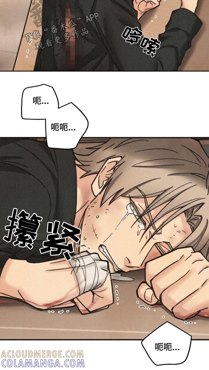 《绝密追缉》第35章：划伤 第15页