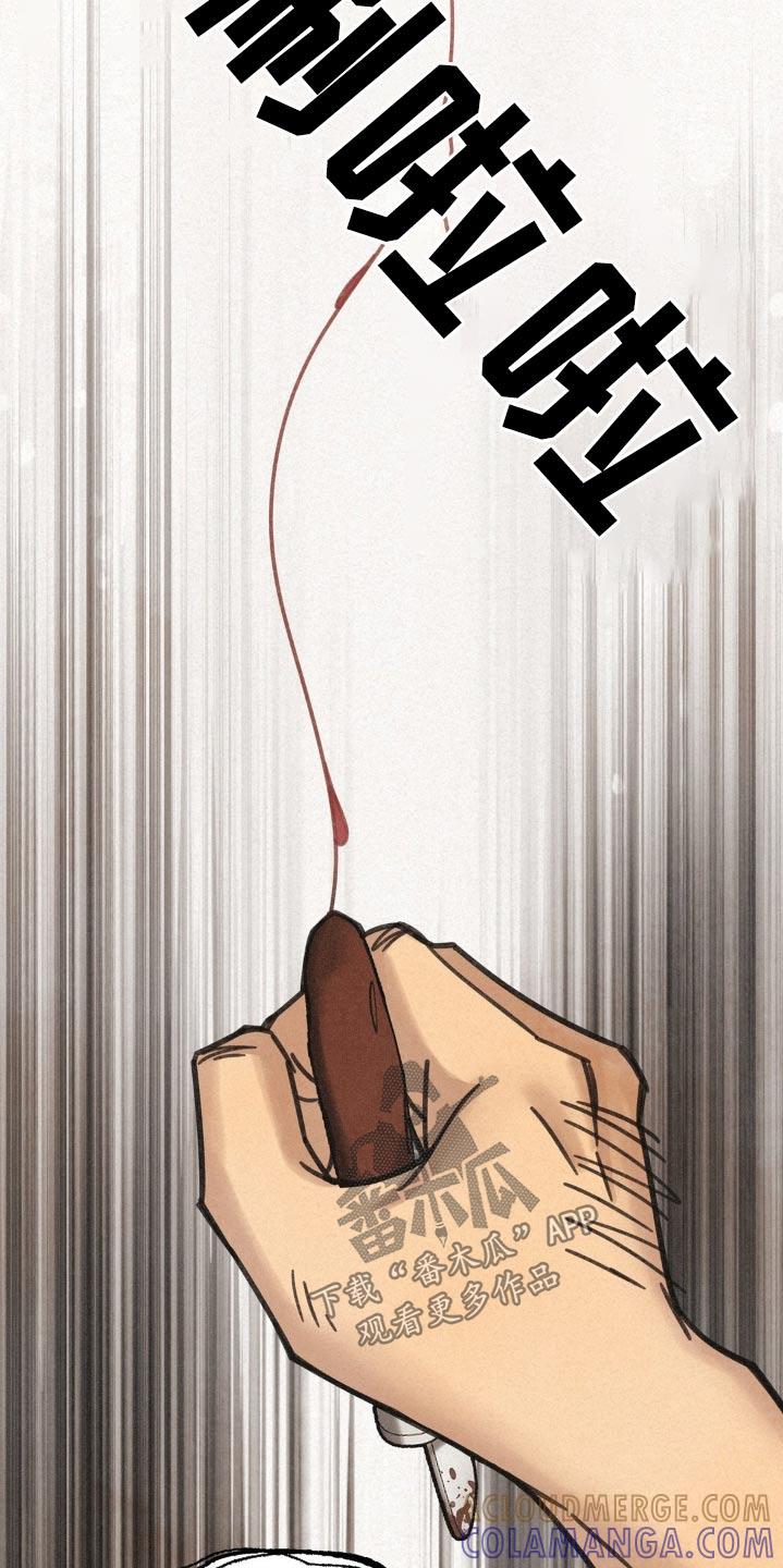《绝密追缉》第35章：划伤 第5页