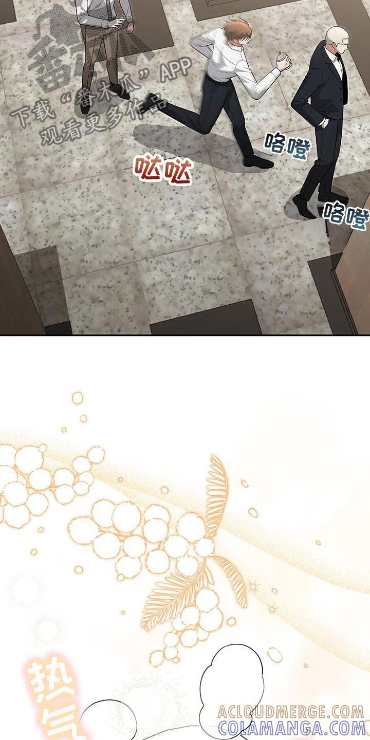 《秘书生存指南》第38章：百分百会满意 第11页