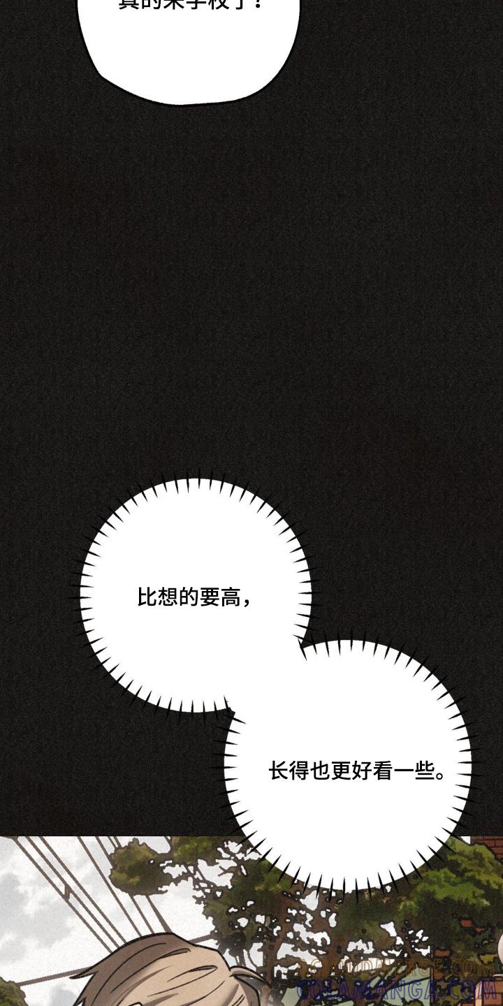 《绝密追缉》第44章：寻找 第23页