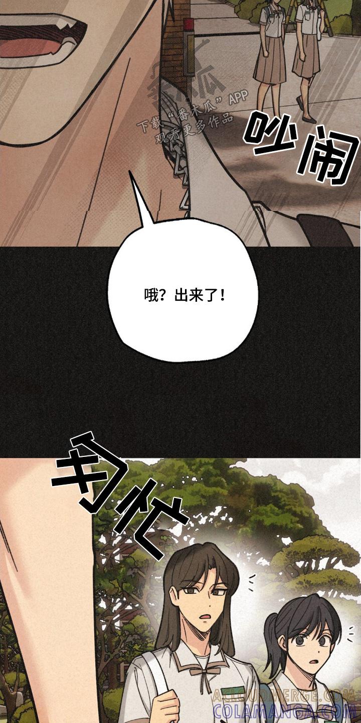《绝密追缉》第44章：寻找 第3页