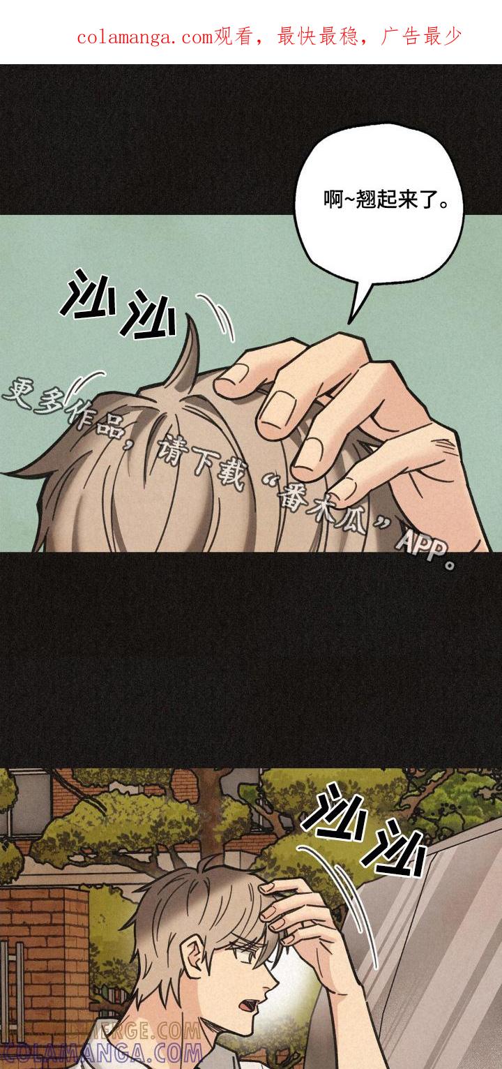 《绝密追缉》第44章：寻找 第1页