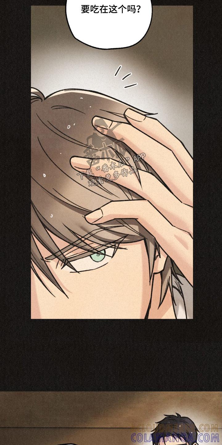 《绝密追缉》第46章：躲雨 第5页