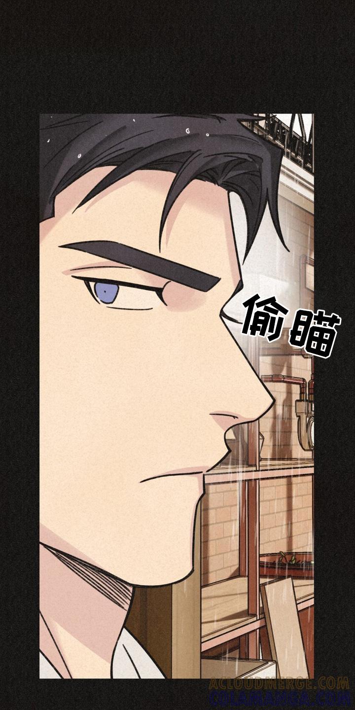 《绝密追缉》第46章：躲雨 第11页