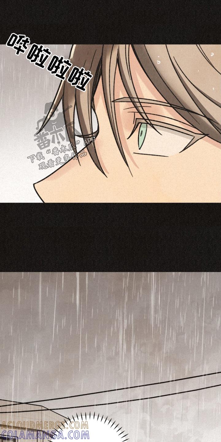 《绝密追缉》第46章：躲雨 第17页