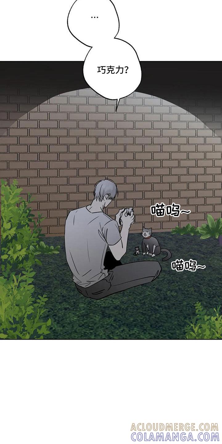 《邻居攻略》第53章：【第二季】晴天霹雳 第21页