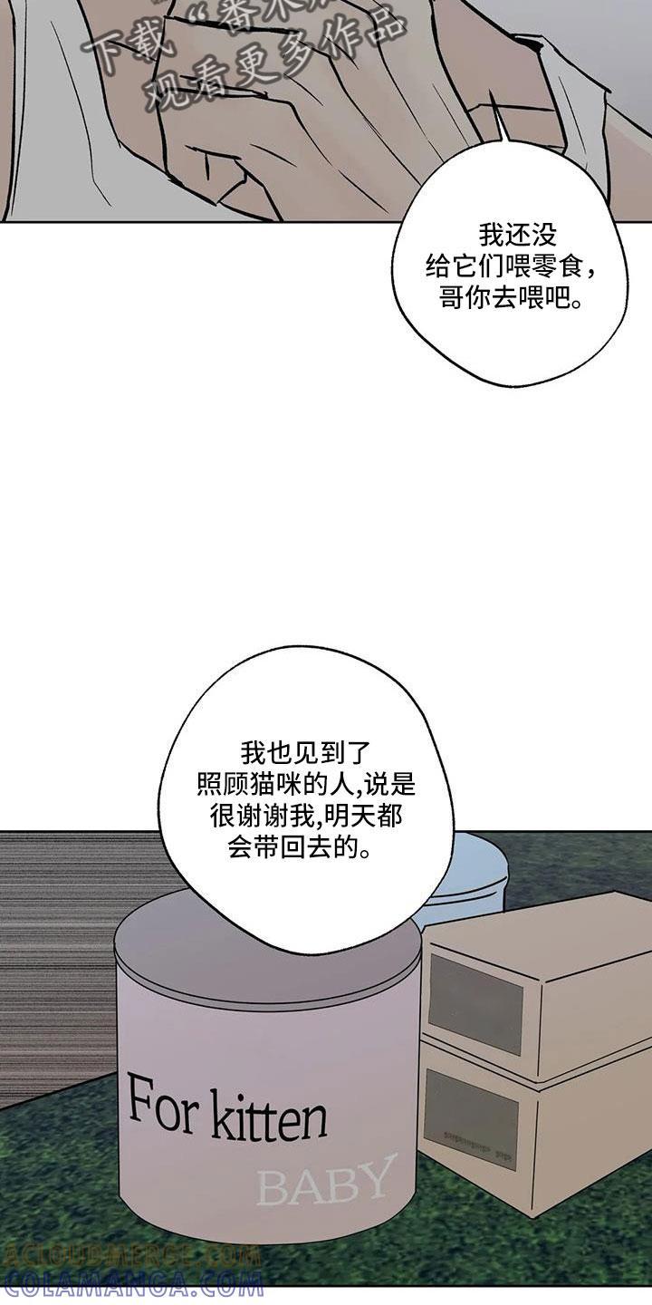 《邻居攻略》第53章：【第二季】晴天霹雳 第5页