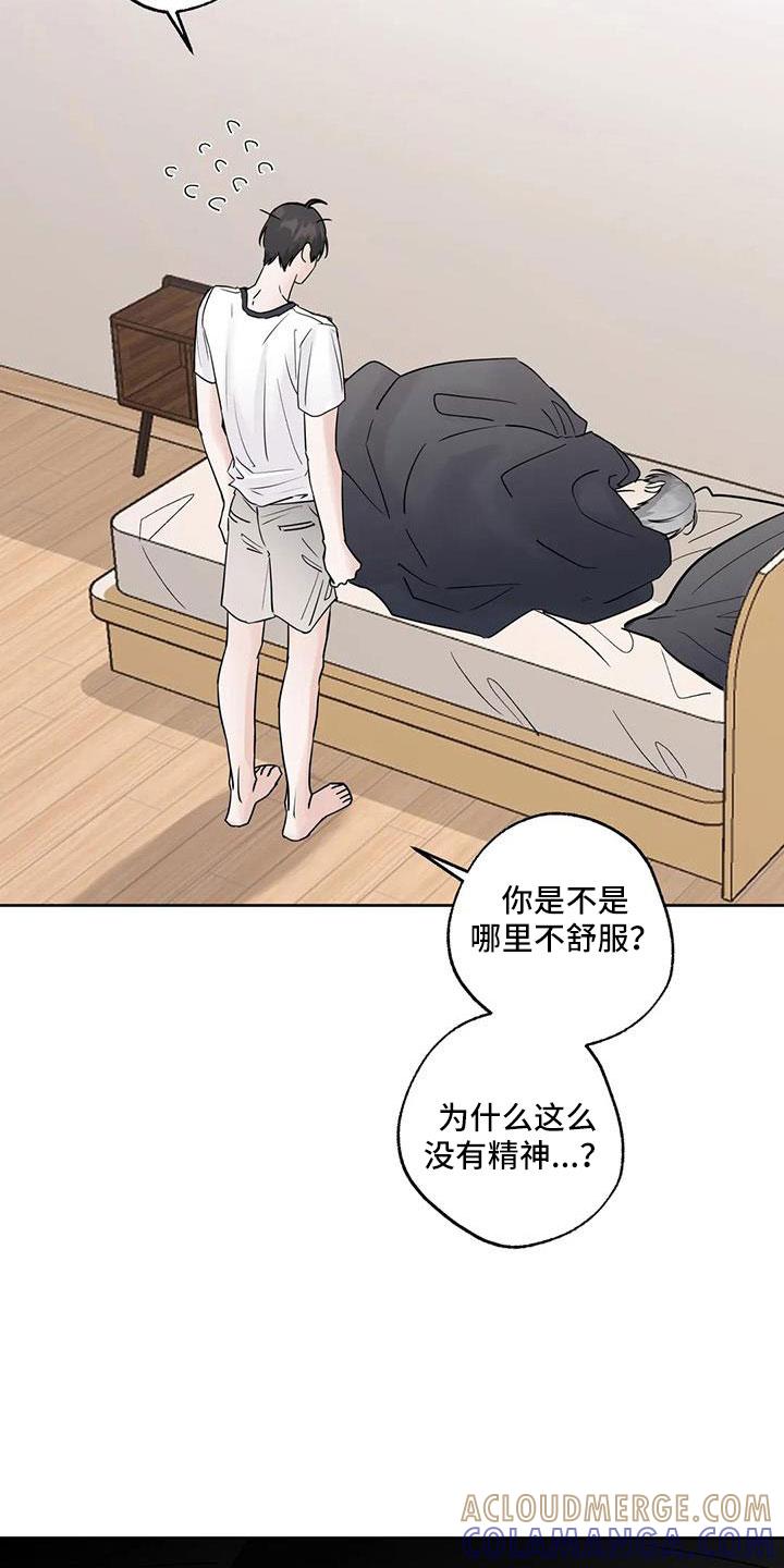 《邻居攻略》第54章：【第二季】诈骗 第19页