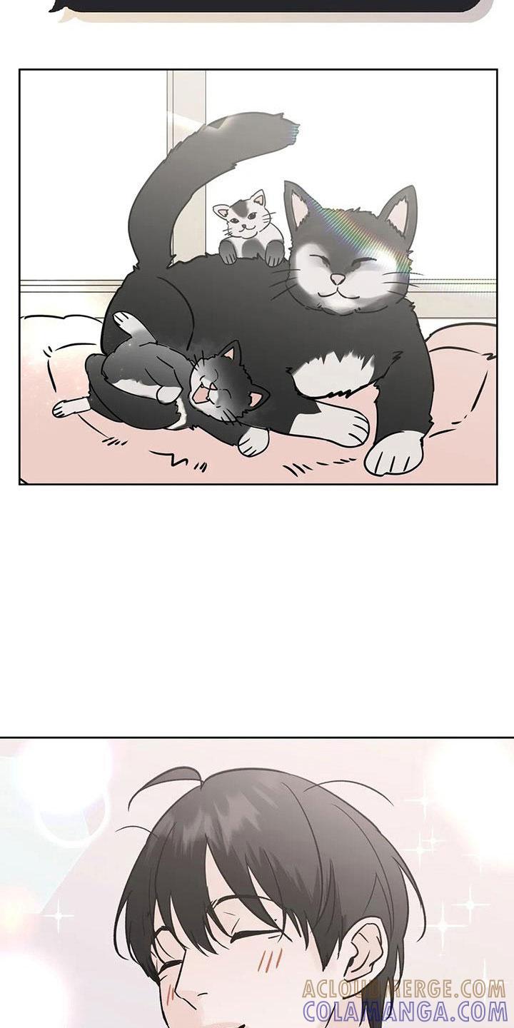 《邻居攻略》第54章：【第二季】诈骗 第7页