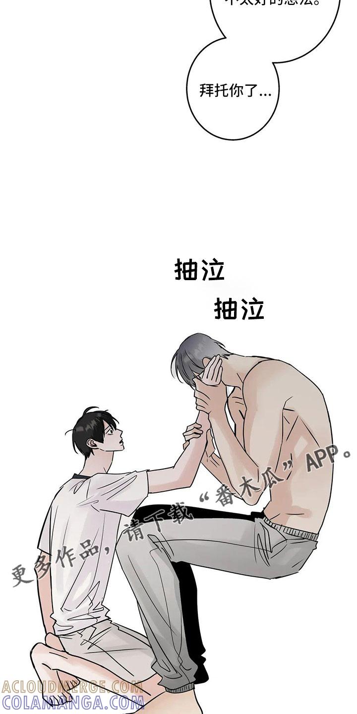 《邻居攻略》第55章：【第二季】5个亿 第17页