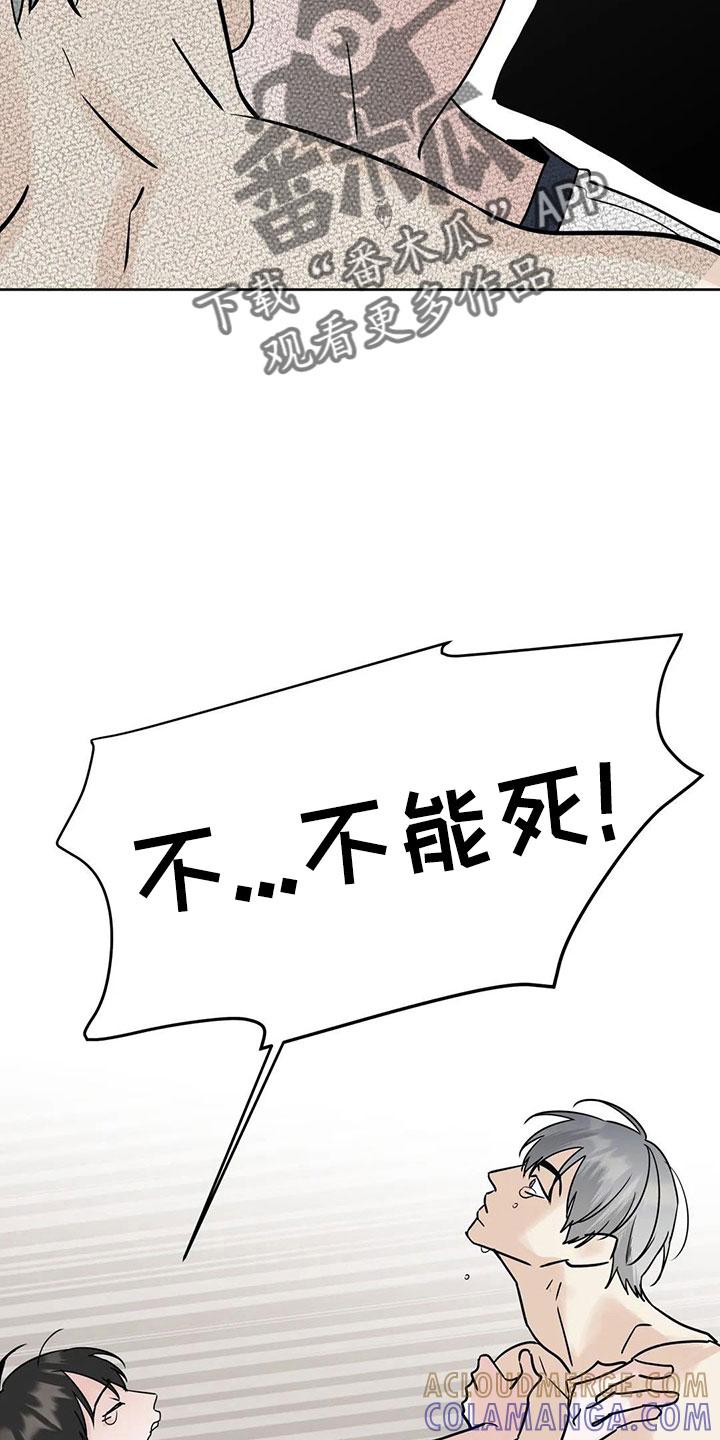 《邻居攻略》第55章：【第二季】5个亿 第11页