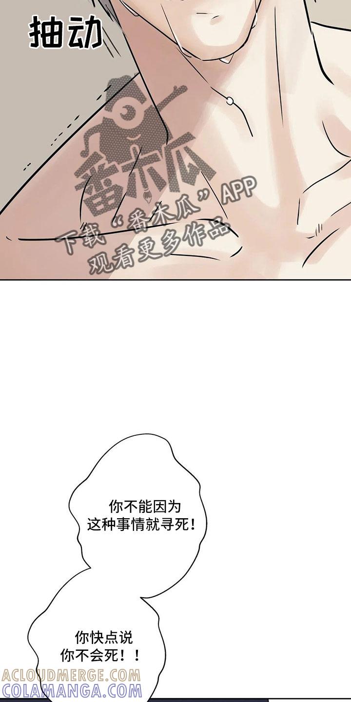 《邻居攻略》第55章：【第二季】5个亿 第13页