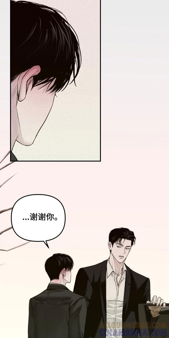 《负罪缩影》第57章：我会让你幸福 第13页
