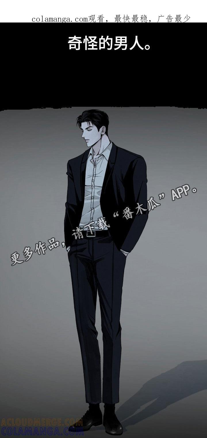 《负罪缩影》第66章：观察总结 第1页